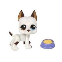 diger-petshop-urunleri